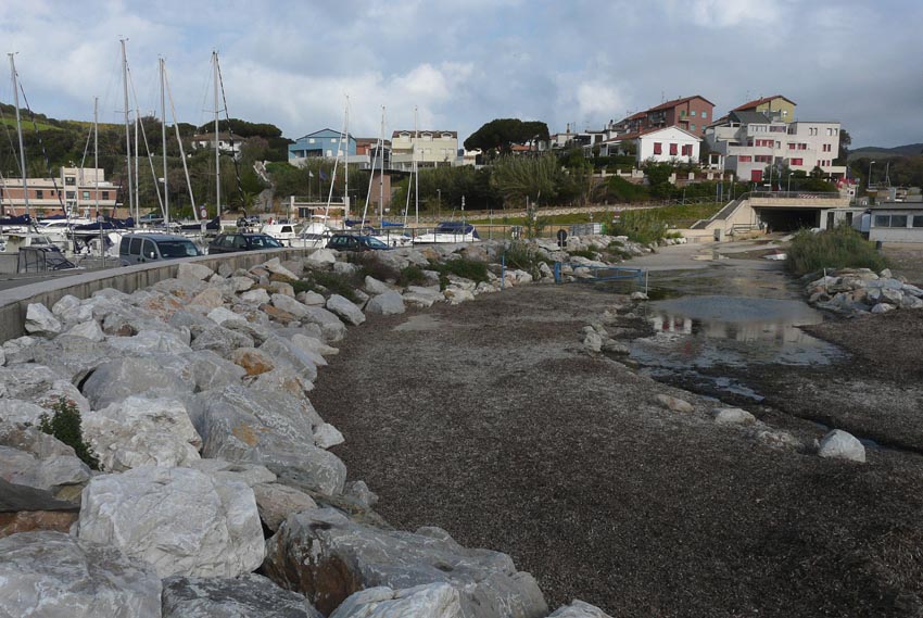 Rio Salivoli (Piombino) - rospi smeraldini in citt!